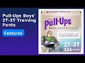 REVIEW 2026 Pull-Ups Boys 2T-3T Training Pants ESSENTIAL details