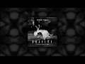 Cat Dealers & Evokings feat Magga - Gravity (LOthief Remix)