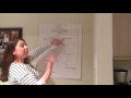 Chemistry Concept Map