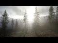 Download Lagu Relaxing Violin Instrumental Music 🎻 Beautiful Soothing Calm