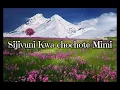 Umenipendelea lyrics -Henrick Mruma