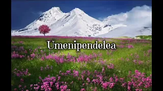 umenipendelea lyrics henrick mruma