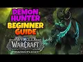 Demon Hunter Beginner Guide Overview Builds for ALL Specs WoW Dragonflight