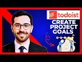 How To Create Project Goals In TODOIST Complete 2025 Guide