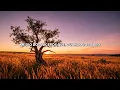 Mercedes Sosa - Gracias A La Vida (Lyric Video)