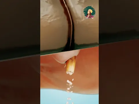 ماذا يحدث عندما ينكسر ناب الثعبان؟! 🐍😨 #shortvideo