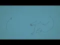 Slow Moves - José González