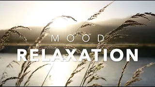 Download Relaxing Music for Sleep, Meditation (No Copyright) | Mood Videos MP3