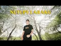 Download Lagu Ilux Id - Nutupi Laraku (Official Music Video)