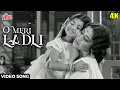 Download Lagu जूही की कली मेरी लाडली | O Meri Ladli [4K] Suman Kalyanpur | Rajendra Kumar, Meena K | Dil Ek Mandir