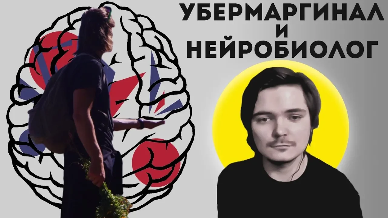 Интеллектуальный контент с нейробиологом