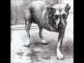 Alice In Chains - Heaven Beside You (1080p HQ)