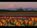 Visit Woodburn Oregon