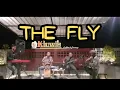 Lagu ViseGrip - Terbang by The Fly ( Live Cover )