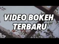 BOKEH TERBARU 2025