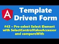 43 - Option selection with SelectControlValueAccessor