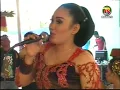 Download Lagu Areva - kebo giro gedruk