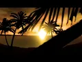 Glenn Morrison - Contact