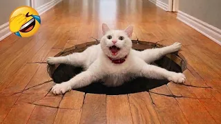 Funny Cats and Dogs Challenge 🤣 Only 1 Percent Can Win 😹🐶