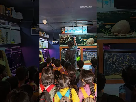 நம்ம கடைக்கு வந்த Special Guest's 😍 #fish #aquarium #trending #education