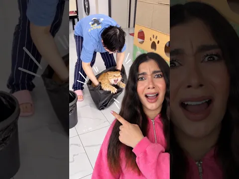 ESTO NO PUEDE SER REAL!! 😱