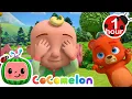Download Lagu Let's Play Hide \u0026 Seek + More | Cartoons for Kids | Childerns Show | Fun | Mysteries with Friends