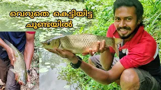 കുപ്പി ചൂണ്ടയില്‍ അടിച്ച ഭീകരന്‍ 🐬 bottle fishing 🤔 G J MOWGLI 🎣🎣🎣 