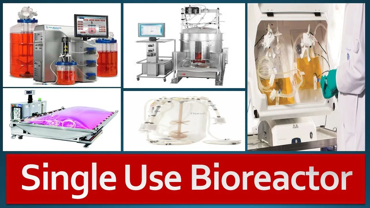 Single Use Bioreactor: Overview, Types, Advantages, Limitations and Future of Single Use Bioreactors