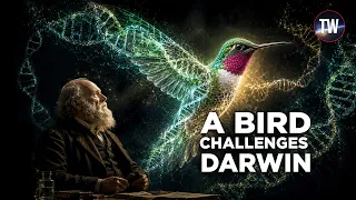 One Tiny Bird. One Big Challenge to Evolution.