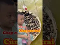 Download Lagu Cua Biển Giống |Quách Dũng Trà Vinh
