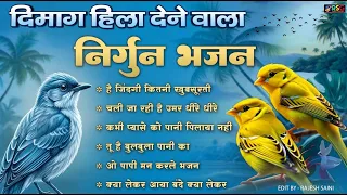 दिल को छु जाने वाले सदाबहार निर्गुण भजन Nonstop Nirgun Bhajan निर्गुण भजन Latest Nirgun Bhajan