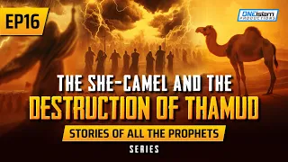 The She-Camel & The Destruction Of Thamud | EP 16 | Stories Of The Prophets Series