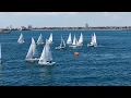 2026 Cal 20 Champs Day 1 Race 1 Gold leeward gate