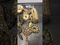 Download Lagu Brown Snake + White Snake = ??? #shorts