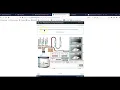 Endocrine Physio Ex explainer