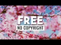 LAKEY INSPIRED - Blossom (Free No Copyright Music)