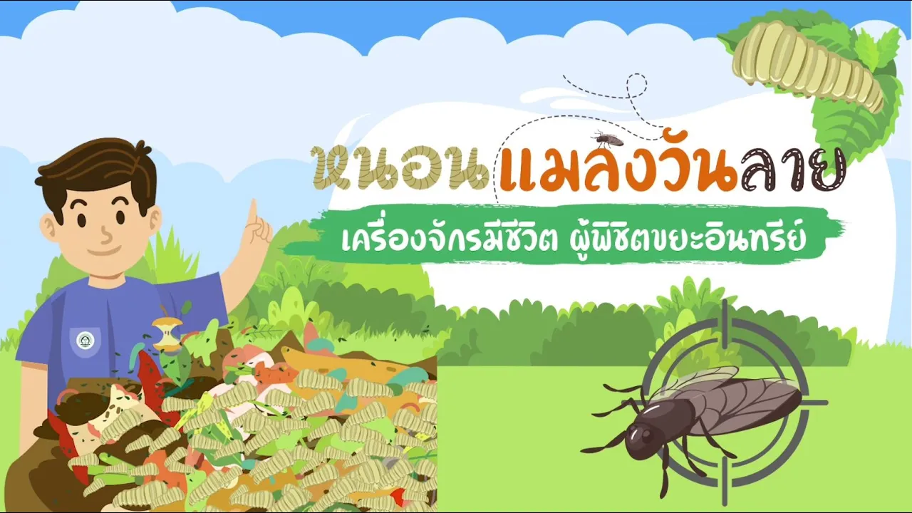 สาระคดี :  วงจรชีวิตของแมลงวัน