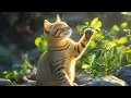 Download Lagu Beste kattenmuziek voor een rustige dag – Muziek voor katten om stress te verminderen en rust te
