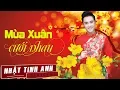 Download Lagu Mùa Xuân Cưới Nhau - Nhật Tinh Anh | OFFICIAL MV | Nhạc Xuân Hay Nhất