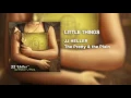 JJ Heller - Little Things (Official Audio Video)