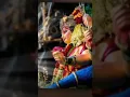 Download Lagu mari mata na pagla jya jya thay status🙏🏻 2022