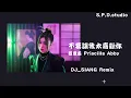 蔡恩雨 Priscilla Abby - 不要讓我太喜歡你【2022 DJ_SIANG Remix】