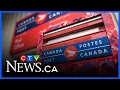 Different business sectors experiencing massive amounts of stress from Canada Post strike