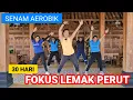 Download Lagu AEROBIK FOKUS LEMAK PERUT | 30 HARI PENURUNAN BERAT BADAN