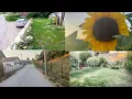 Download Lagu Otišla Sam Kod Kone Po Mlijeko, Snimila Njenu Baštu I Prošetala Kroz Naše Selo