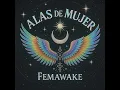 Semilla Solar