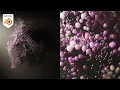 10 Minute Tutorial - Particle Flow Animation Loop in Blender Geometry Nodes