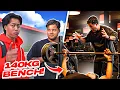 Download Lagu ASIAN ANABOLIC PUSHDAY 🇨🇳 ft Toto (Dr. Bruinebeer)
