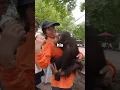 Download Lagu A Monkey Got Addicted To TikTok