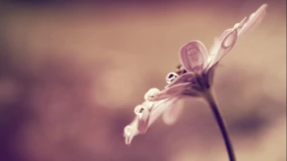 اجمل واروع اناشيد محمد المقيط بدون ايقاع HD 